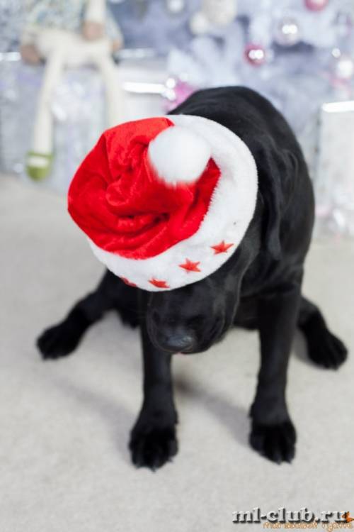 post-12493-0-02753800-1422119154_thumb.j