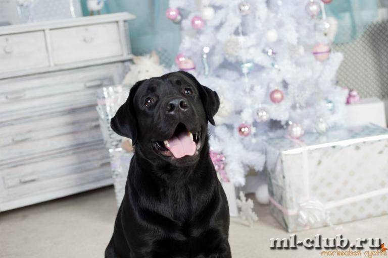 post-12493-0-03163300-1422119282_thumb.j