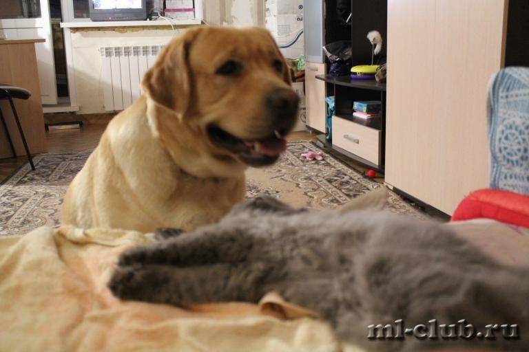 post-12493-0-29356700-1422119907_thumb.j