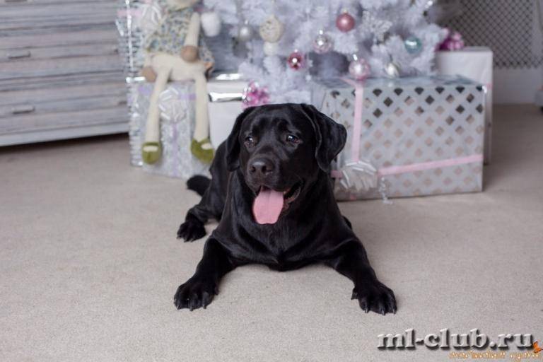 post-12493-0-30267200-1422119199_thumb.j