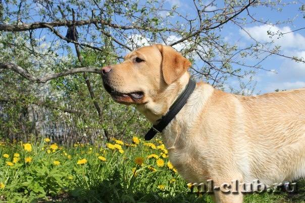 post-12493-0-37367900-1422119972_thumb.j