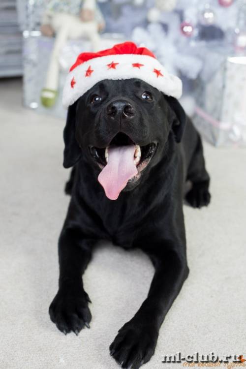 post-12493-0-42521900-1422119166_thumb.j