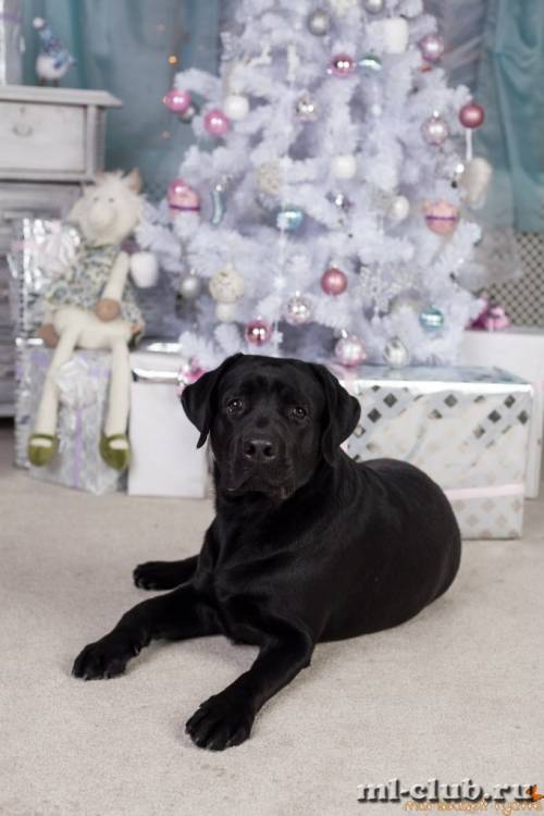 post-12493-0-59465000-1422119294_thumb.j