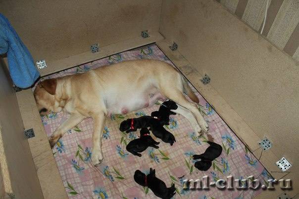 post-12493-0-68312000-1422119993_thumb.j