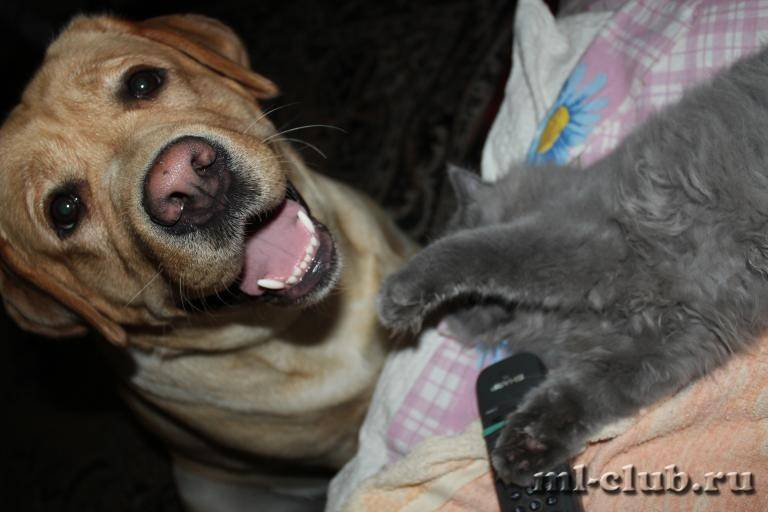 post-12493-0-78462600-1422119947_thumb.j