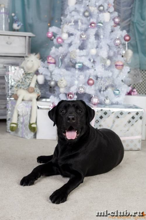 post-12493-0-87820200-1422119178_thumb.j