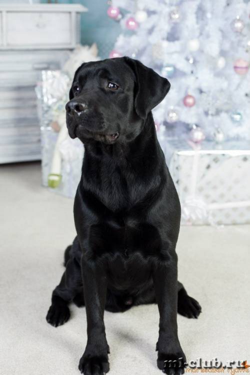 post-12493-0-89681700-1422119265_thumb.j