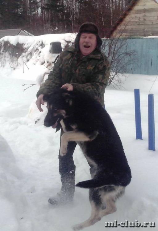 post-14514-0-12591900-1422280175_thumb.j