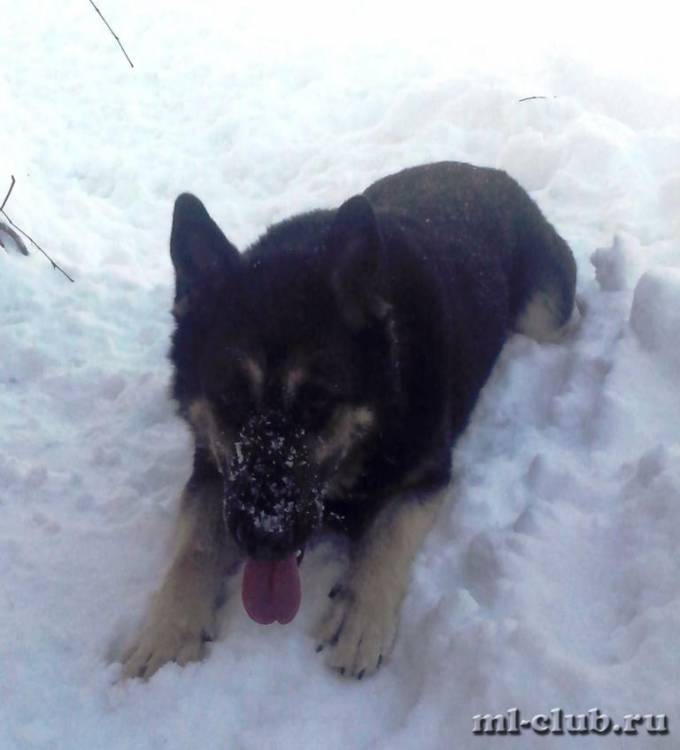 post-14514-0-58677500-1422280419_thumb.j