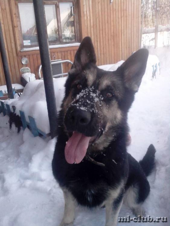 post-14514-0-59276600-1422280288_thumb.j