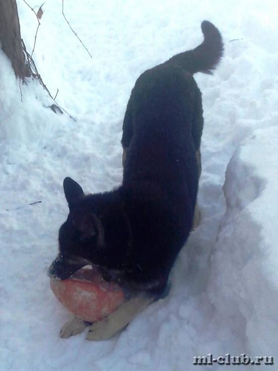 post-14514-0-64721400-1422280313_thumb.j