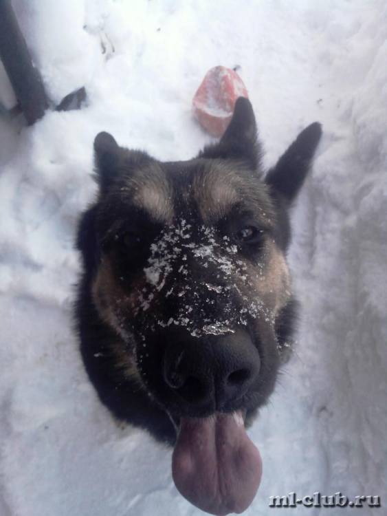 post-14514-0-72539800-1422280250_thumb.j