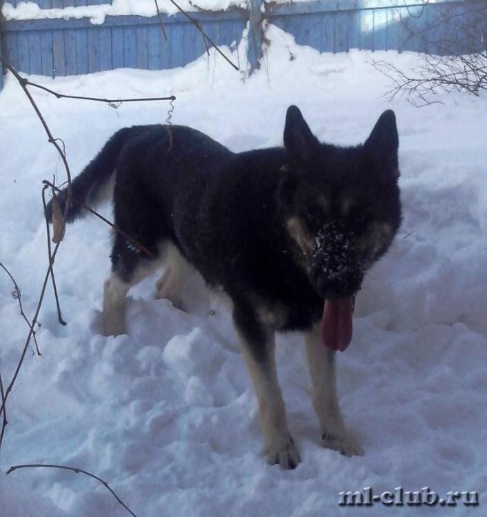 post-14514-0-73275900-1422280449_thumb.j