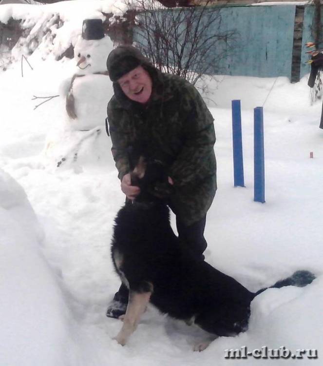 post-14514-0-75291700-1422280147_thumb.j