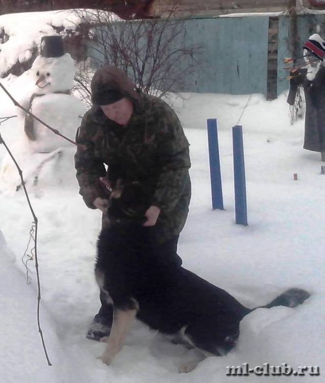 post-14514-0-94180700-1422280078_thumb.j