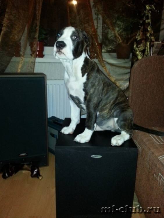 post-1699-0-28988500-1422255196_thumb.jp