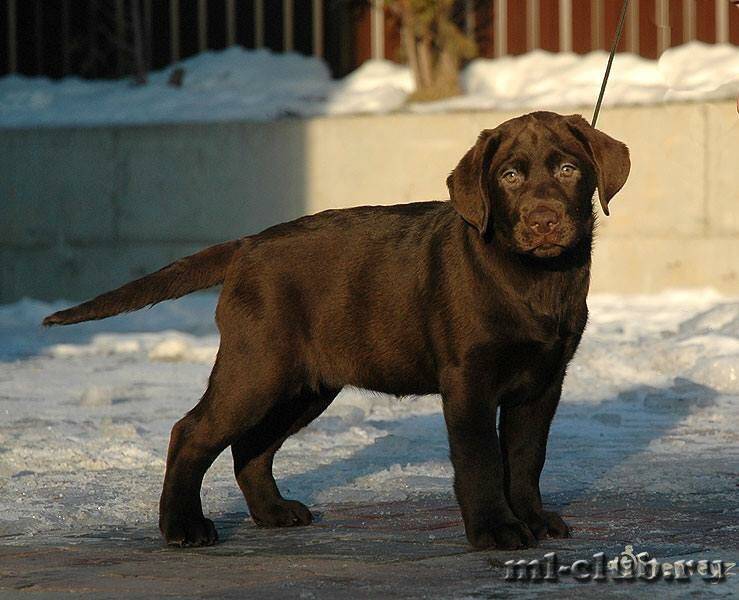 post-4781-0-16066000-1422123835_thumb.jp