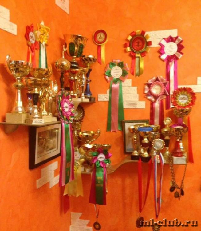 post-4781-0-28694600-1422124129_thumb.jp