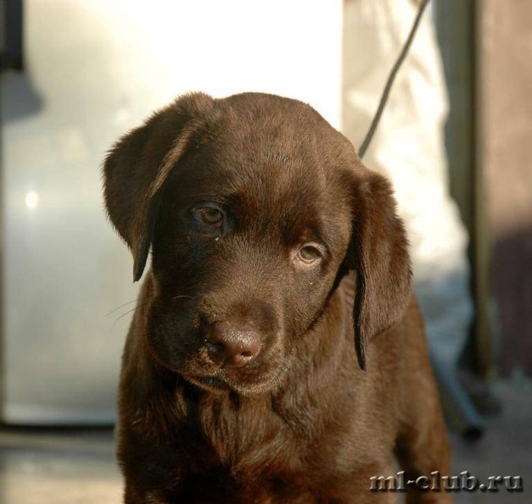 post-4781-0-29570200-1422123845_thumb.jp