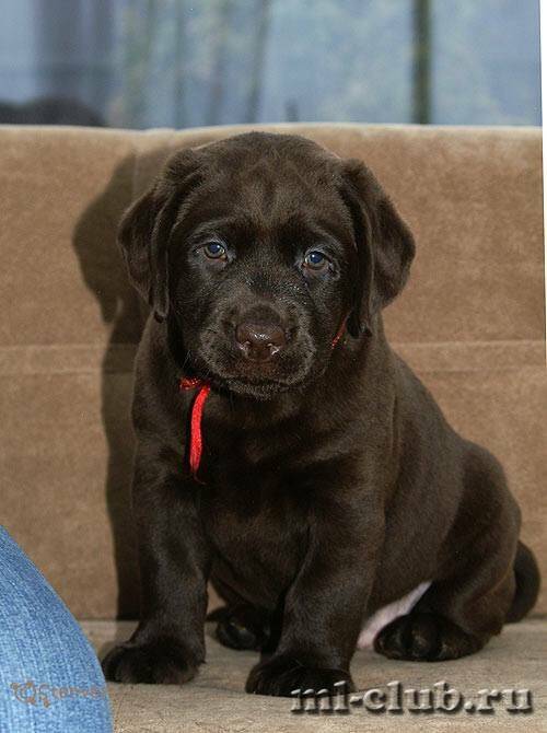 post-4781-0-40247700-1422123822_thumb.jp