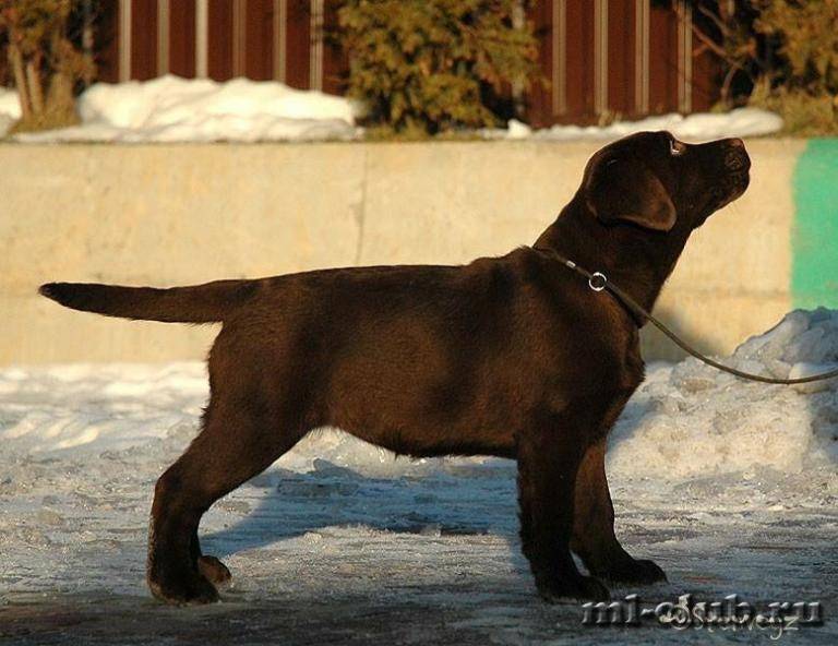 post-4781-0-92743300-1422123854_thumb.jp