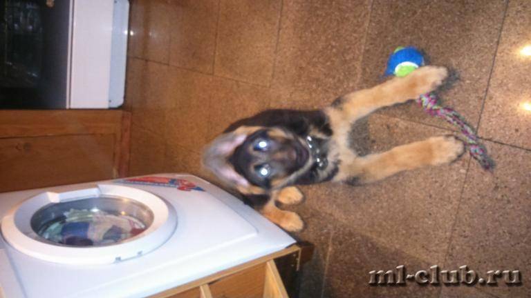 post-8687-0-02045400-1422212613_thumb.jp