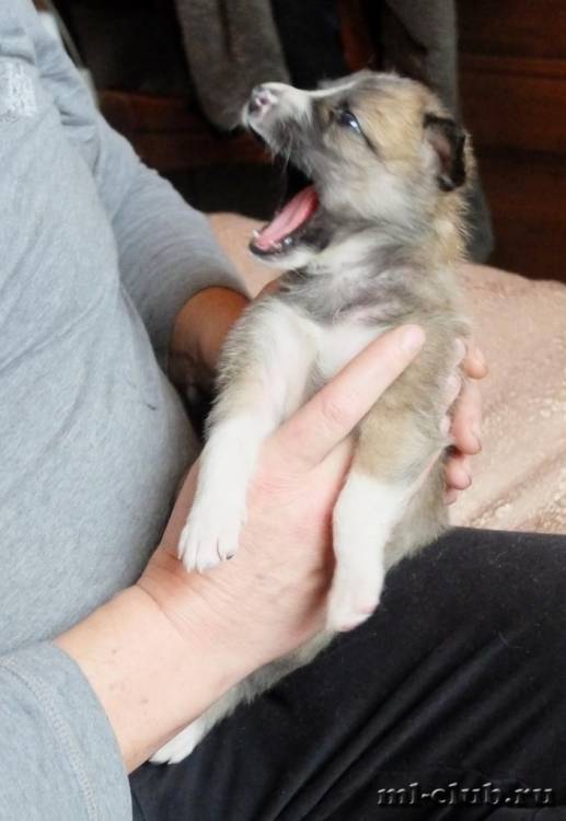 post-10380-0-23648800-1422906018_thumb.j