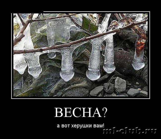 post-12895-0-12280900-1423209569_thumb.j