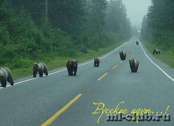 post-14514-0-47635400-1423495900_thumb.j