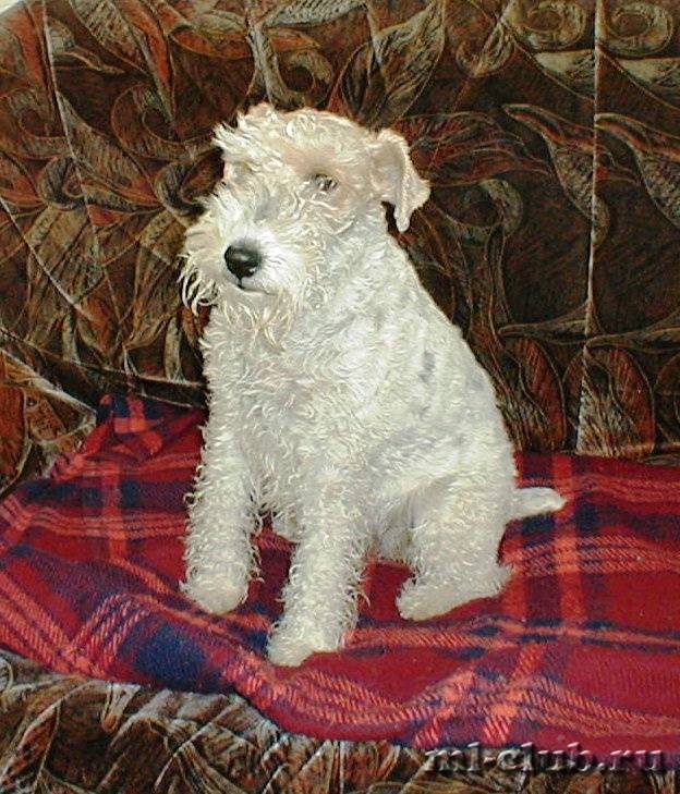 post-14514-0-67575000-1422907167_thumb.j