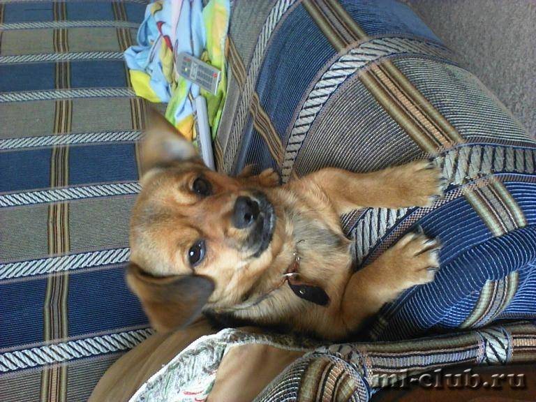 post-17234-0-40259200-1422781766_thumb.j