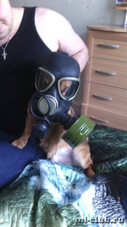 post-17234-0-77172500-1422781965_thumb.j