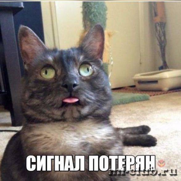 post-10921-0-57383600-1455088817_thumb.j