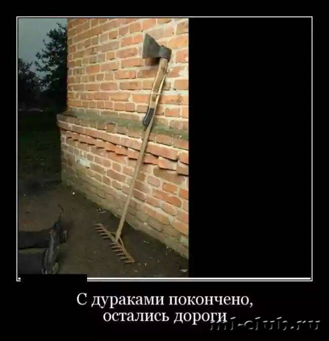 post-10921-0-60255200-1455088824_thumb.j