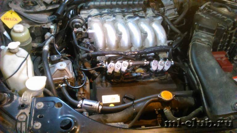 post-12493-0-92484800-1454355538_thumb.j