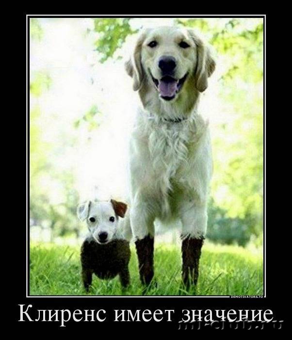 post-16093-0-31223400-1454341332_thumb.j