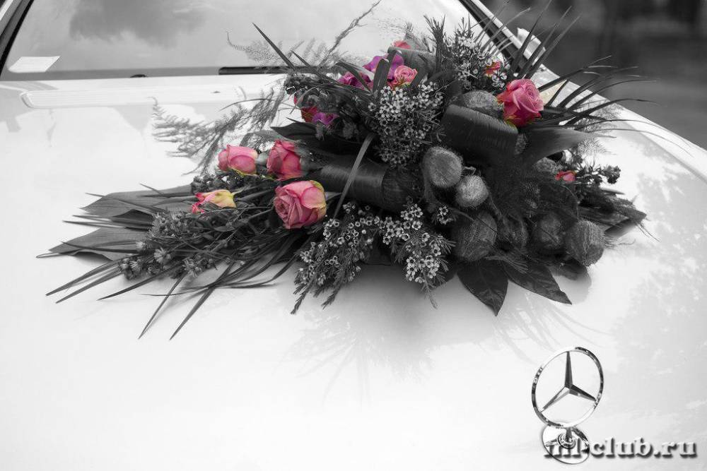 post-5170-0-32891400-1362722912_thumb.jp