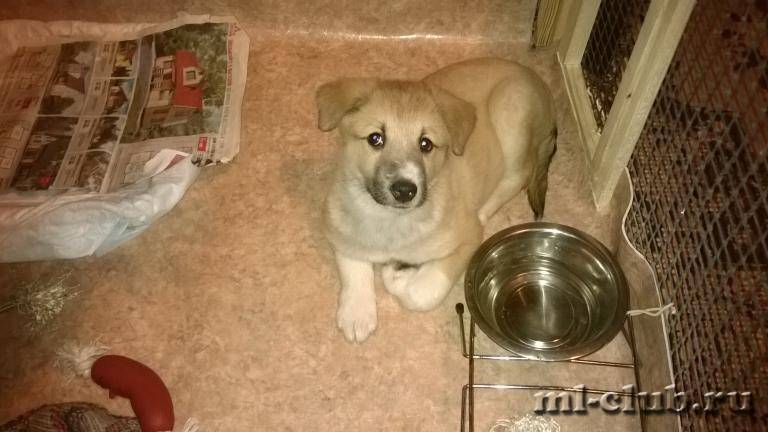 post-10380-0-35640100-1425976140_thumb.j