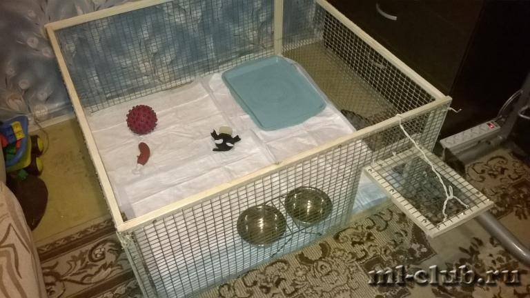 post-10380-0-53975600-1425976219_thumb.j