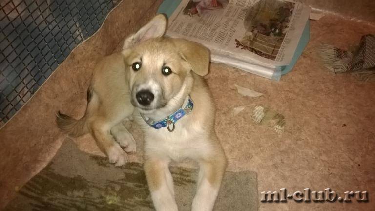 post-10380-0-87072400-1425976382_thumb.j