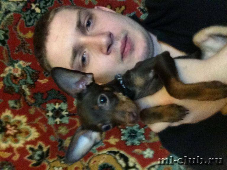 post-10719-0-53134100-1425727700_thumb.j