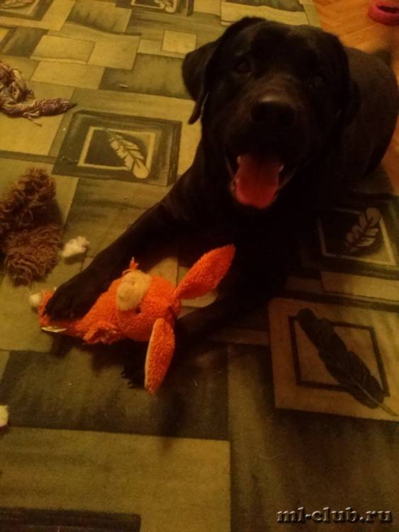 post-12493-0-36467000-1426279110_thumb.j