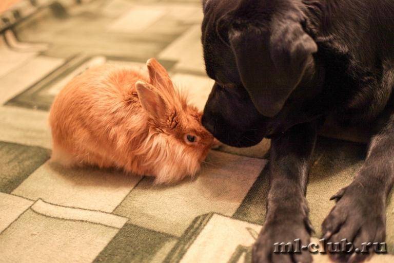 post-12493-0-77959600-1426279093_thumb.j