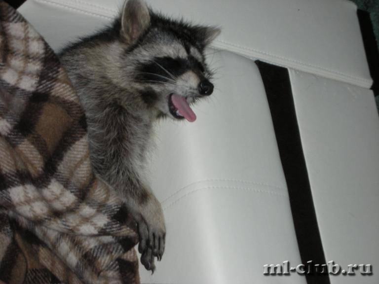 post-18341-0-00077800-1426014671_thumb.j