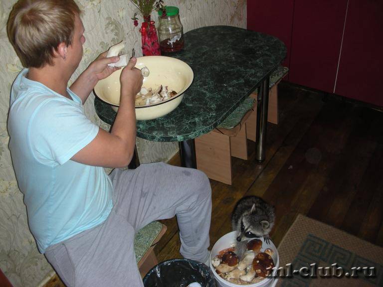 post-18341-0-19003200-1425908644_thumb.j