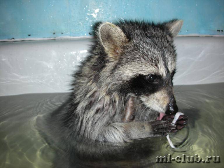 post-18341-0-34627500-1425908434_thumb.j