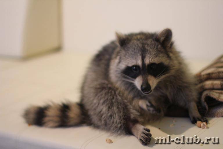 post-18341-0-34678100-1426014751_thumb.j