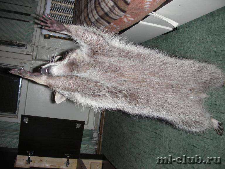 post-18341-0-75747300-1426014594_thumb.j