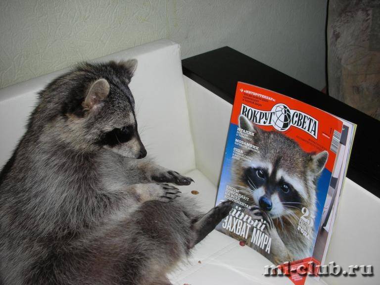 post-18341-0-83590000-1425908454_thumb.j