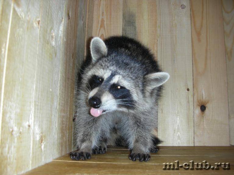 post-18341-0-90270000-1426014633_thumb.j